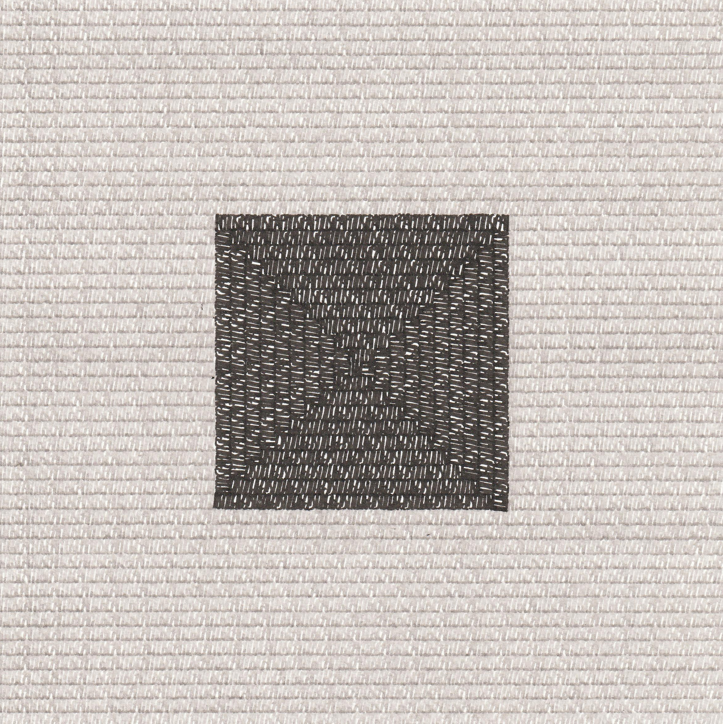 Das schwarze Quadrat